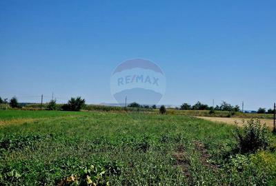 Vand sau schimb cu apartament  2 sau 3 camere si diferenta - 4