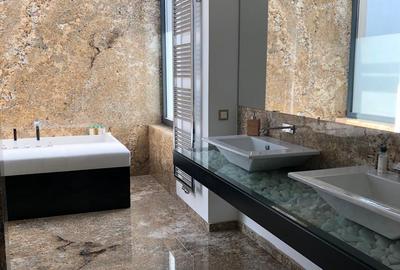 Inchiriere vila moderna Iancu Nicolae - 28