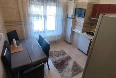 Unirii apartament 2 camere in vila, centrala proprie - 6