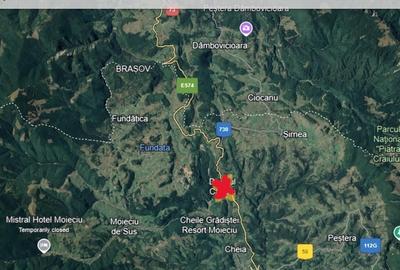 Moeciu, Drumul Carului, teren 3750 mp, 75000 euro - 8