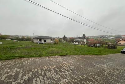 TEREN PREMIUM DE DEZVOLTARE - 3996 MP - DUBLĂ DESCHIDERE–STR. IZVORULUI, ORADEA - 5