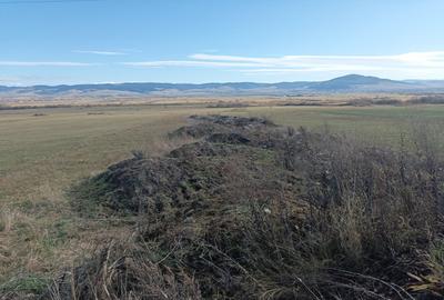 Teren extravilan Ciceu, Harghita - 1