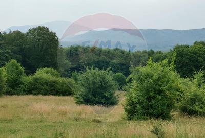 Teren aproape de pădure, situat într-o zonă aerisită - 8