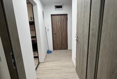 Apartament de închiriat Alba Iulia - 10