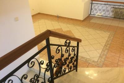 Vand vila Erou Iancu Nicolae,Privighetorilor,Jollie Ville,piscina,garaj 2 masini - 16