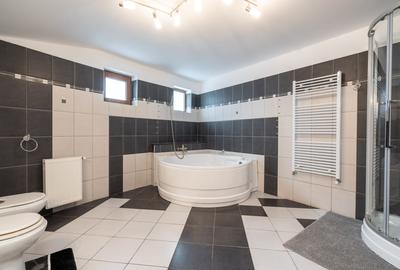 Vilă stradală Iancu Nicolae – 252 mp, ideală birouri/clinică, curte și parcare . - 21