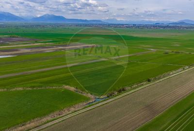Teren EXTRAVILAN | 4,000mp Stupinii Prejmerului | COMISION 0% - 9