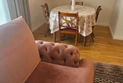 Vilă de colț 5 camere | New Point Villas | Curte 120 mp - 5