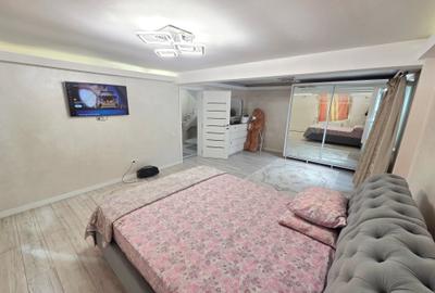 Voluntari, Andronache, vila P+1+M renovata, curte amenajata - 19