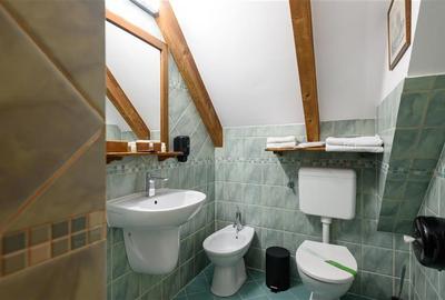 Langa Castelul Bran: Pensiune + restaurant + transfer afacere activa - 27