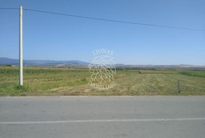 Teren 20000 mp (2 ha)-parcelabil-ideal cabane/agricultura/ferma-Jelna - 3
