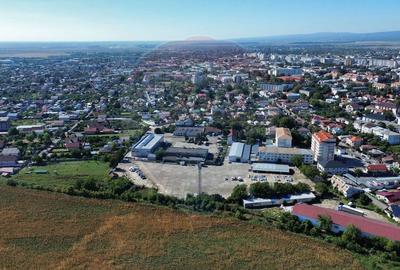 Teren 9160 mp cu 2500mp constructii - 11