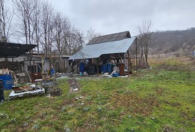 VÂNZARE MOȘIE – Sat Mitrofani, Comuna Mitrofani, jud. Vâlcea - 6