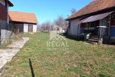 Două case de vânzare – Cerisor – teren generos 6996 mp - 7