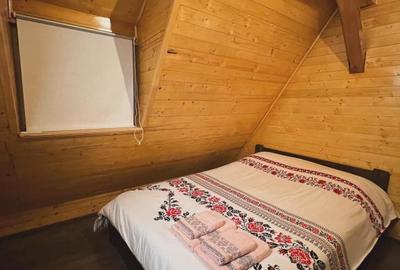 Cabana la Lac Colibita 8 camere, terase si 1650 mp teren - 1
