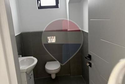 Depozit / hală de de vanzare | Acces TIR | Chitila - 3