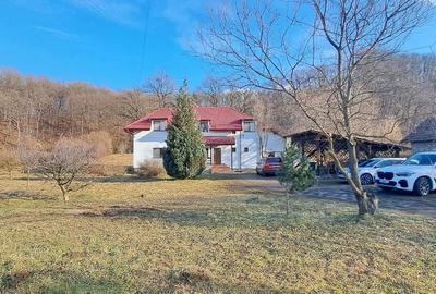 Propriete superbă la marginea pădurii în Râșnov Primăverii 5,000 mp - 23