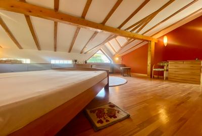 Vila de lux lângă Curtea Domnească – investiție premium Târgoviște, teren 1.700 - 59