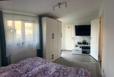 Sanmihaiul Roman - Casa individuala cu 3 dormitoare, complet mobilata si utilata - 10