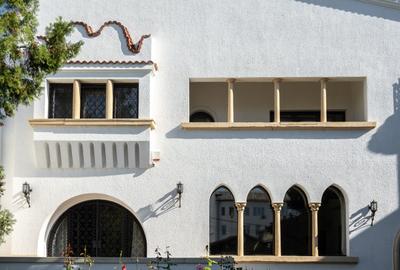 Historical villa Gradina Icoanei area - 7