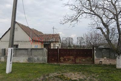 Teren intravilan în Pădureni (Jebel)