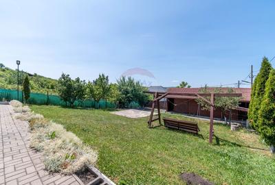 Casa de vanzare in Chinteni, 5 camere, mobilata, utilata, teren 756 mp - 30