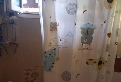 Apartament 2 camere. Brancoveanu. Huedin - 5