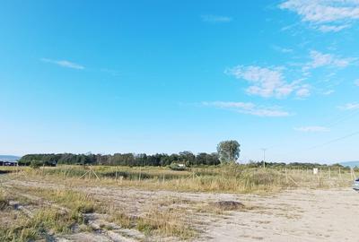 Teren Construcții intravilan de 21800 mp, în Hărman