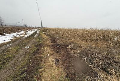 Teren extravilan | Gălănești | 7.276 mp | Front 29 m - 3