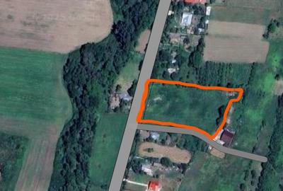 Teren intravilan - sat Pradais com Huruiesti  jud Bacau - 6
