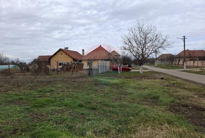 Teren intravilan 1,241mp Frumușeni, Arad - 3