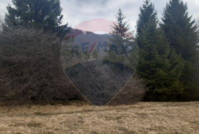 Teren Rasnov/ Soseaua Predealului DN73B - 6