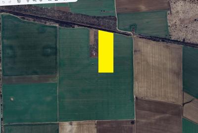 GRADISTEA - Sat Sitaru, Tarla 43, vanzare 22.200 mp. teren cu acces din DJ101 - 2