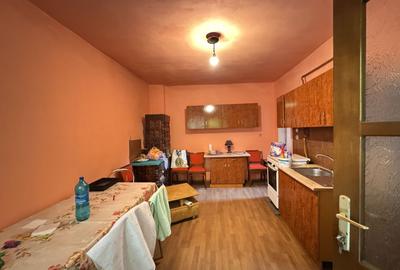 Casa in Lugoj pe Str. Fagetului - 8
