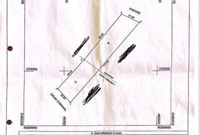 Teren zona linistita, padure la 11 km de Pitesti - 3