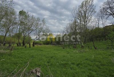 De vânzare teren superb în Ciurila ~ 5000 mp de liniște, verdeață și potențial - 5