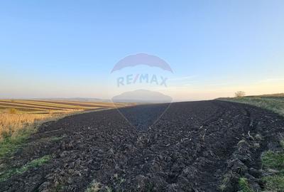 Teren extravilan 30077mp Stroiesti / Soseaua DN17, Suceava - 12