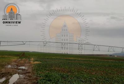 Oportunitate unică în Rasnov: Teren extravilan de 10,000 mp la 50,000 euro - 3