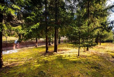 Cabane cu 10 camere Arieseni - 10