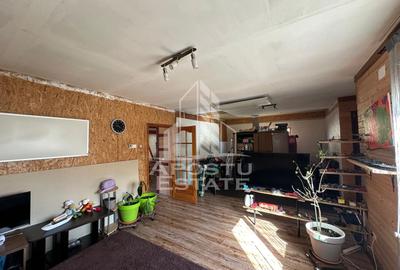 Casa P+M teren 654 mp Dumbravita Ikea - 1