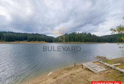 Proprietate unica! Teren generos cu iesire la lac! - 1
