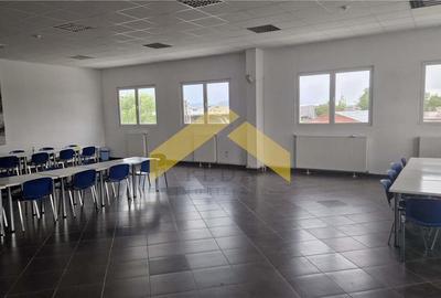 Hala industriala de vanzare in loc. Sfantul Gheorghe, jud. Covasna - 19