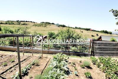 Teren intravilan 1.300 mp.zona Belvedere Targu Mures - 12