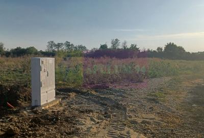 Săbăreni, lot de casă 500 mp, curent lângă teren - 2