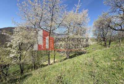 Teren 2500 mp Sohodol - 13