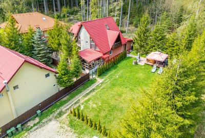 Vila cocheta în Azuga, lângă pădure, cu priveliște superbă la munți - 17