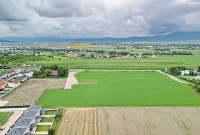 Teren Industrial 4187mp - 15