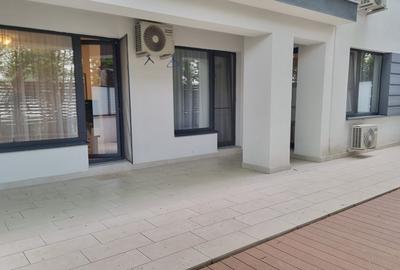 Iancu Nicolae/ Apartament cu 3 camere/ Gradina proprie/Parcare/ - 9