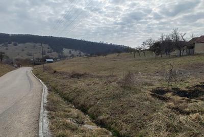 Teren intravilan de vanzare - Fasca, comuna Varciorog, judetul Bihor - 4