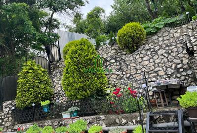 Casa P+1 / Stirbei Voda - 21